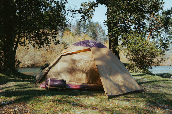 Cómo elegir la mejor carpa para tu próxima aventura en la naturaleza