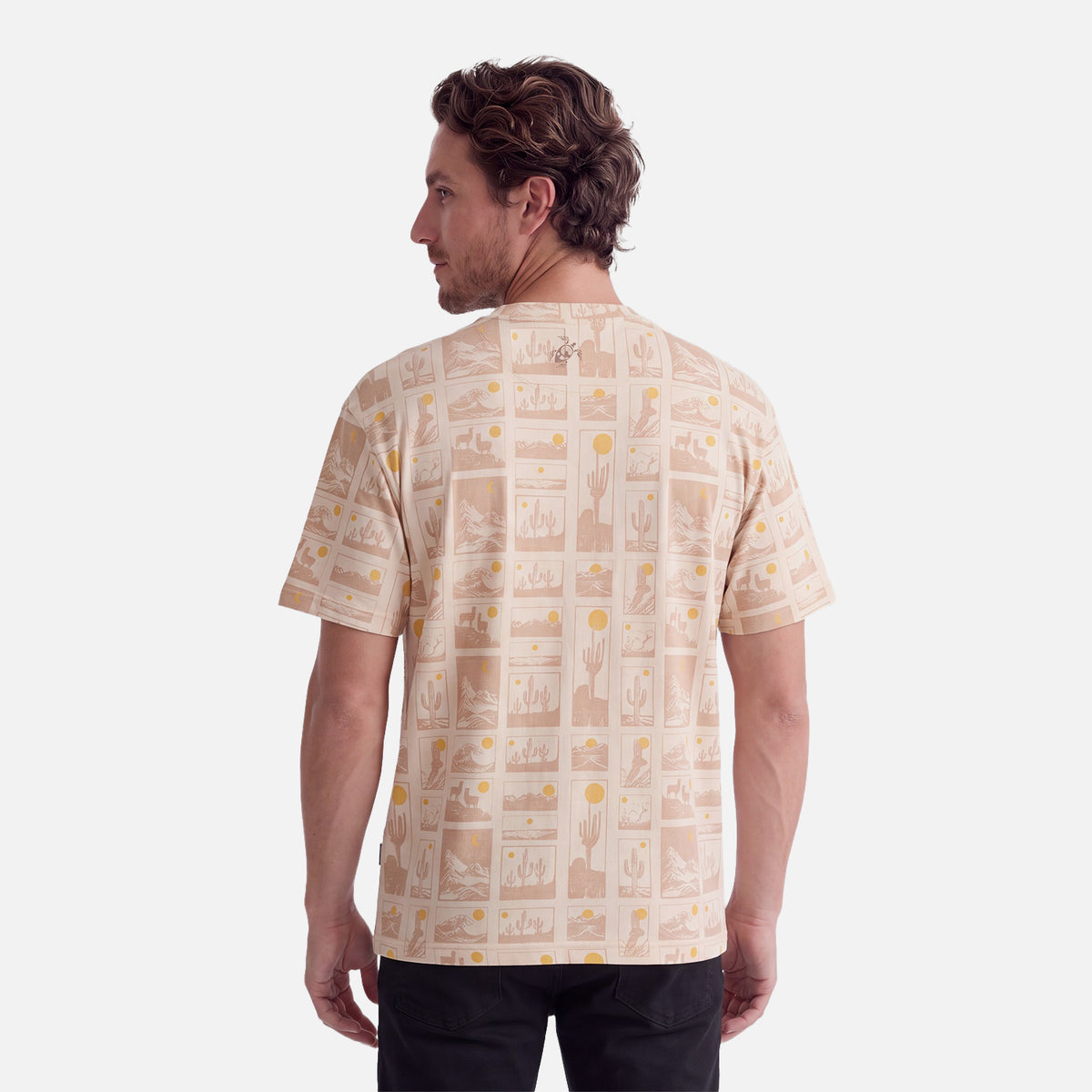 Polera Hombre Pinacoteca Print Taupe Haka Honu